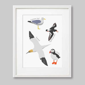 Sea Birds Poster