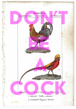 Don't Be A Cock