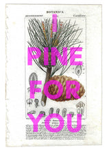 I Pine For You