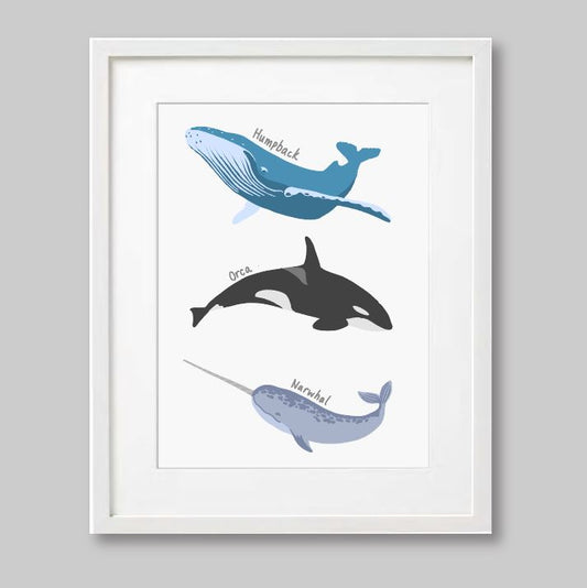 Whale Poster