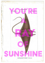 You're A Ray Of Sunshine