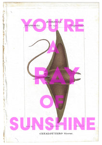 You're A Ray Of Sunshine
